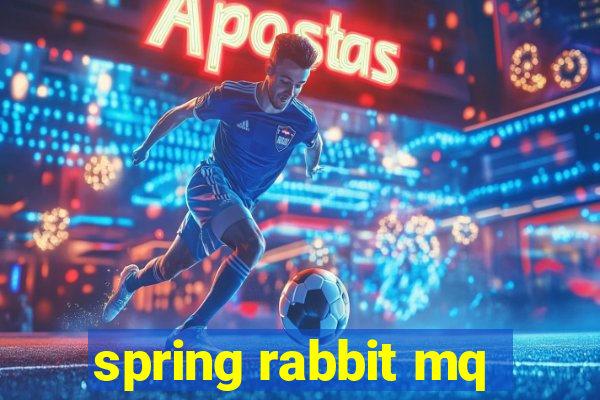 spring rabbit mq